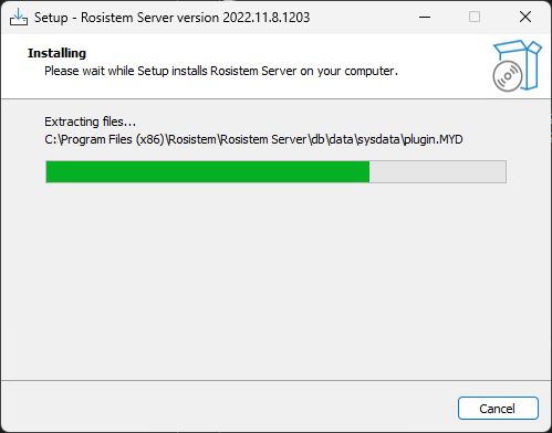 RosistemServer_Setup_Installing
